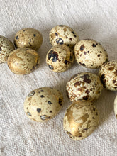 Load image into Gallery viewer, QUAILS EGGS DECOR
