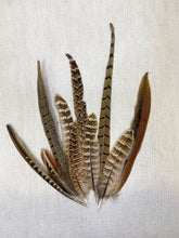 Load image into Gallery viewer, PHEASANT FEATHERS
